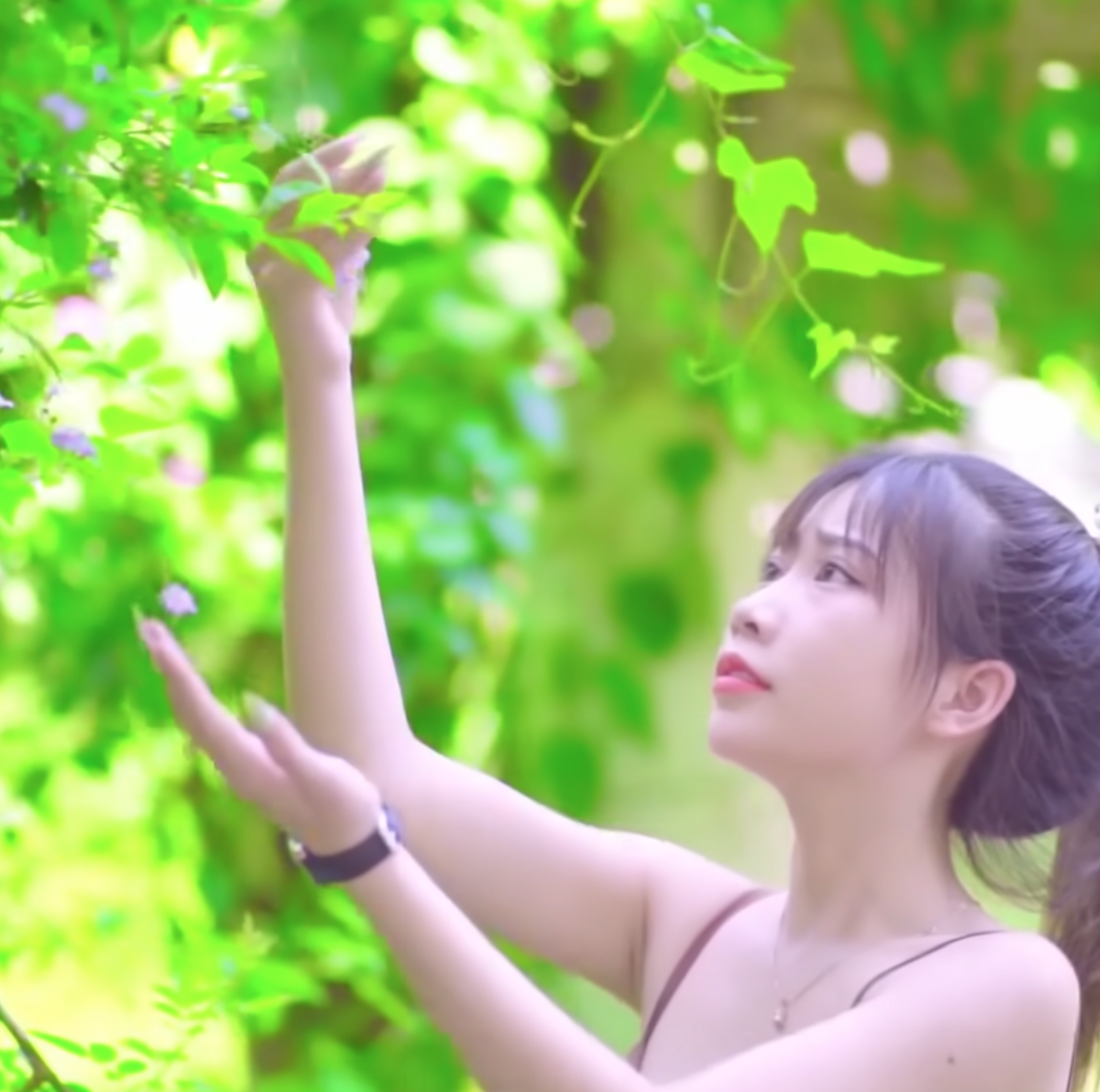 lĩnh vực hoạt động